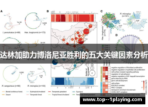 达林加助力博洛尼亚胜利的五大关键因素分析 达林加助力博洛尼亚胜利的五大关键因素分析