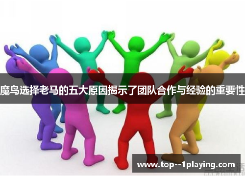 魔鸟选择老马的五大原因揭示了团队合作与经验的重要性 魔鸟选择老马的五大原因揭示了团队合作与经验的重要性